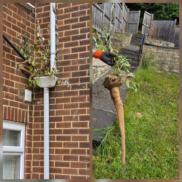 Before and after gutter cleaning results by Trusted Cleanerz Ltd in Halifax, West Yorkshire.