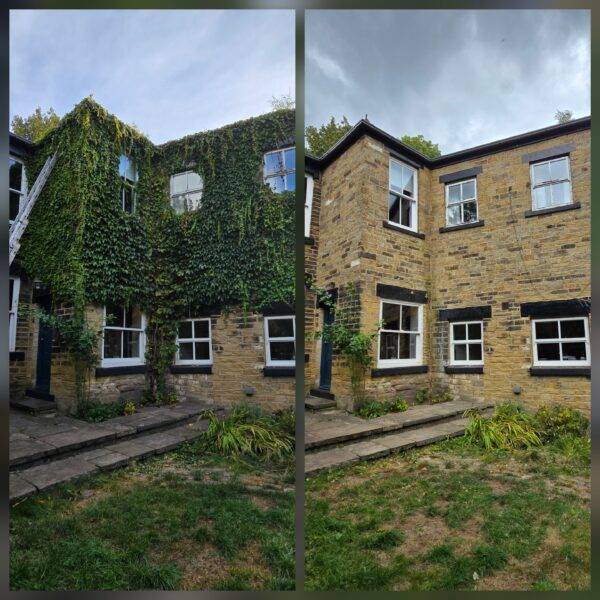 Before and after ivy removal in Leeds showing heavy ivy fully removed from exterior walls.