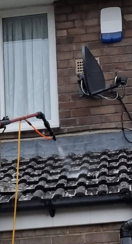 technician applying biocide treatment to exterior wall after ivy removal