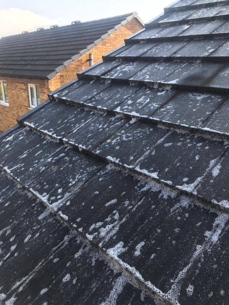 Biocide treatment applied to a residential roof in Halifax after roof cleaning to prevent moss and algae regrowth.