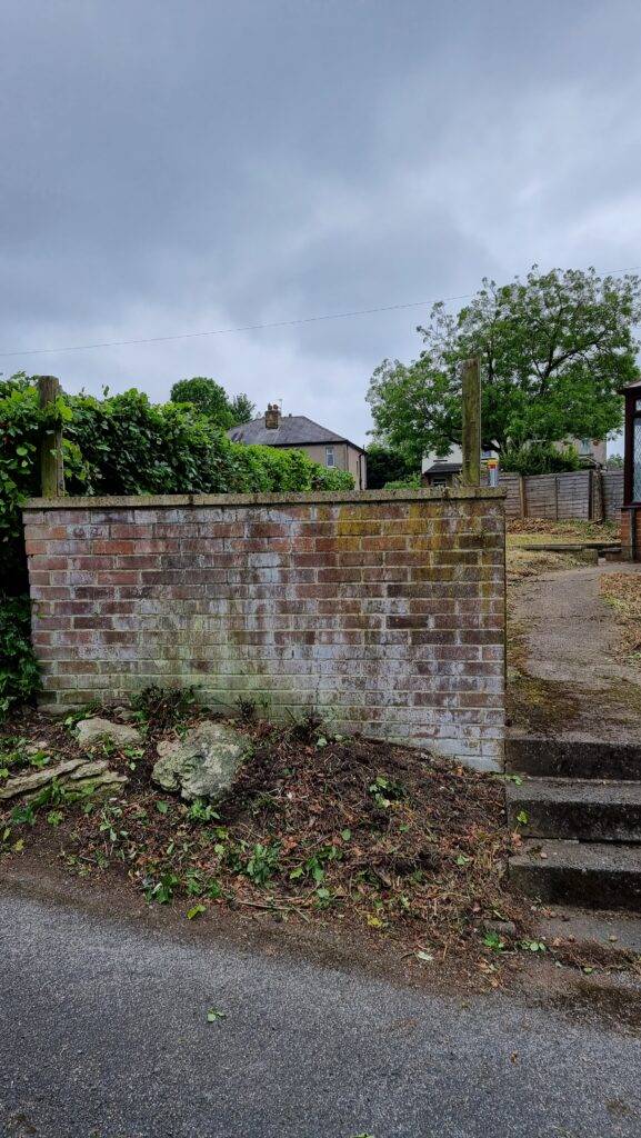 Brick wall after ivy removal showing staining, residue, and previous ivy attachment points