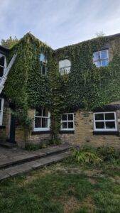 Severe ivy covering the exterior walls and windows of a traditional stone house in Leeds