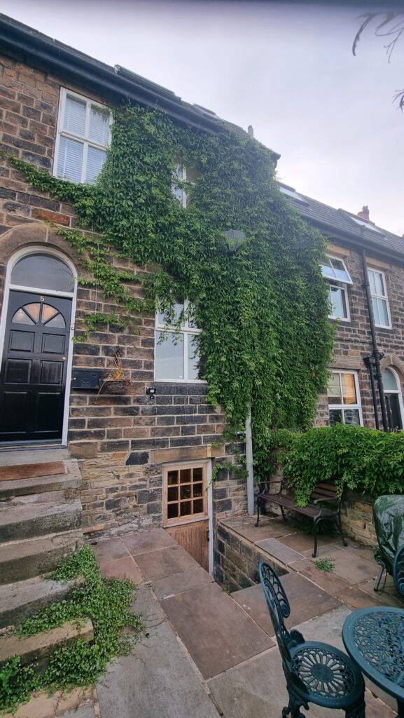Ivy spreading from one property onto a neighbouring house wall in Leeds, creating potential structural and boundary issues