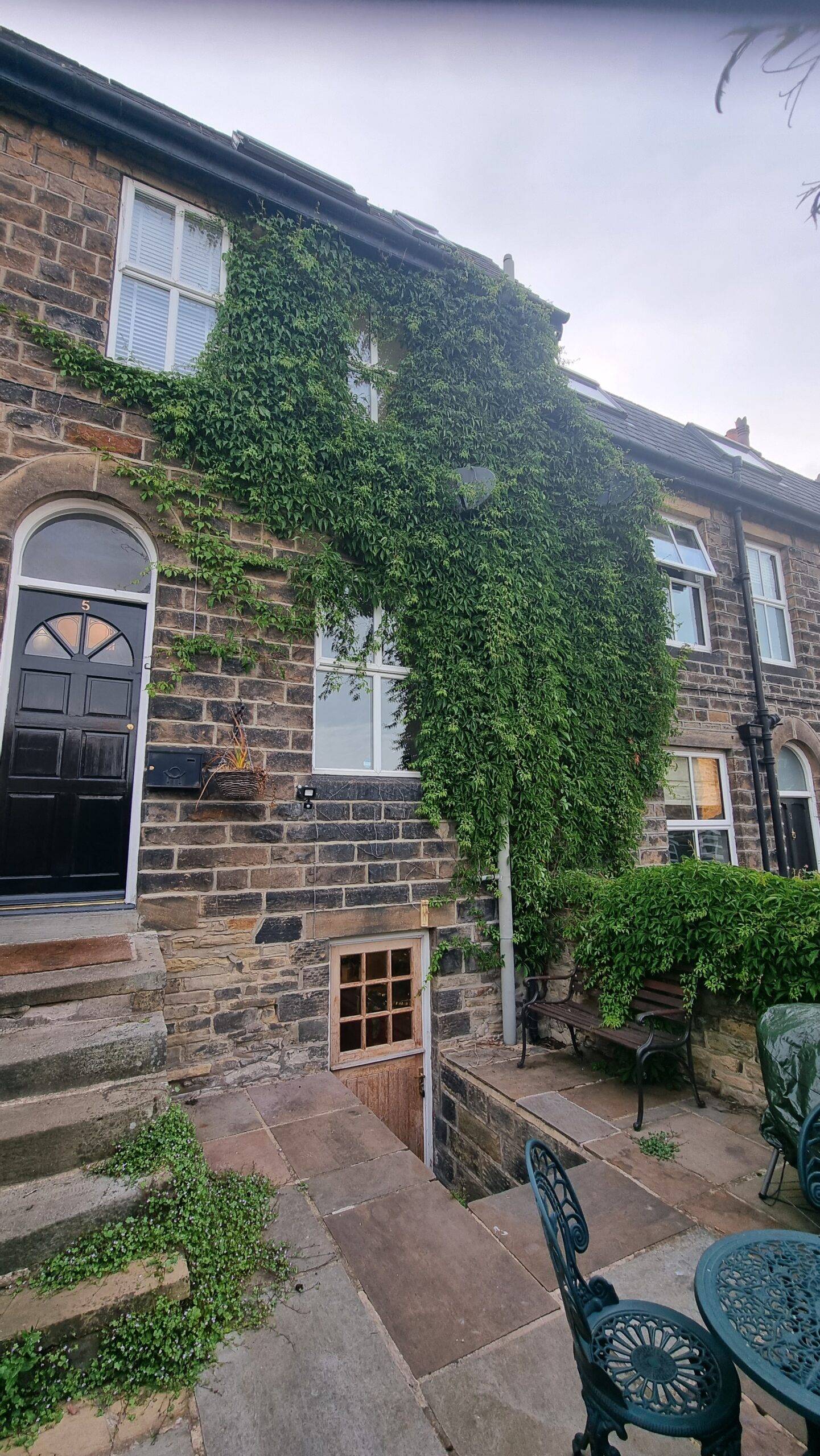 Ivy growing from one property onto a neighbouring home in Leeds