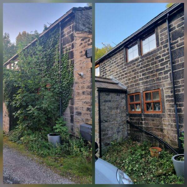 Before and after ivy removal from a stone house wall in Chester