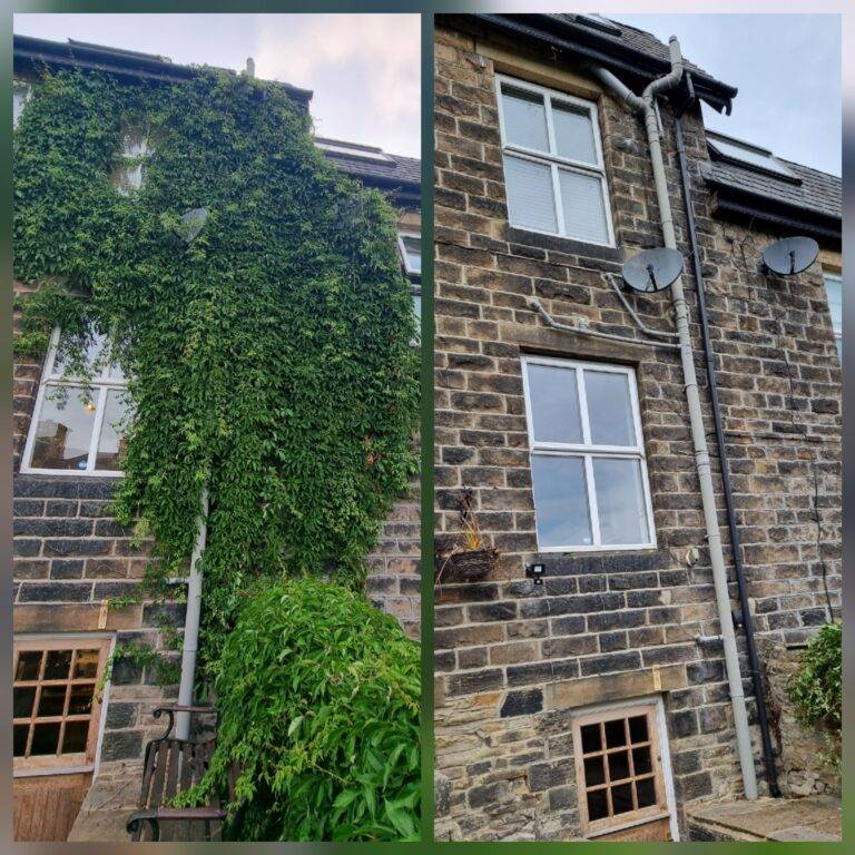 Overgrown ivy removed from a stone property wall during an ivy removal job in Huddersfield.