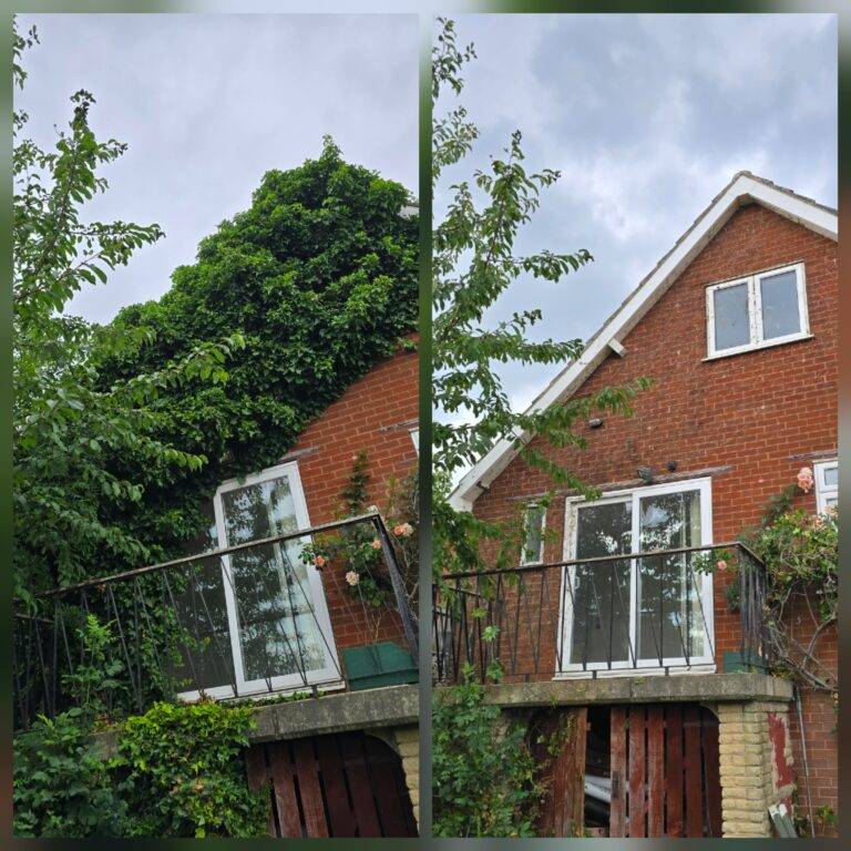 Before and after ivy removal from a brick house in Leeds, showing overgrown vegetation cleared from the exterior wall.