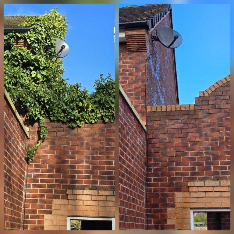 Before and after ivy removal from brick wall and fence in Liverpool