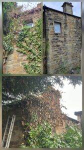 Ivy covering upper floors and chimney of a stone terrace before and after removal in Nottingham