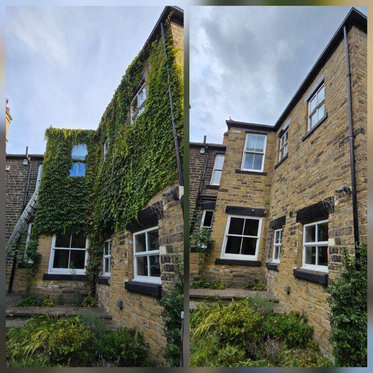 Before and after specialist ivy removal from a large stone property