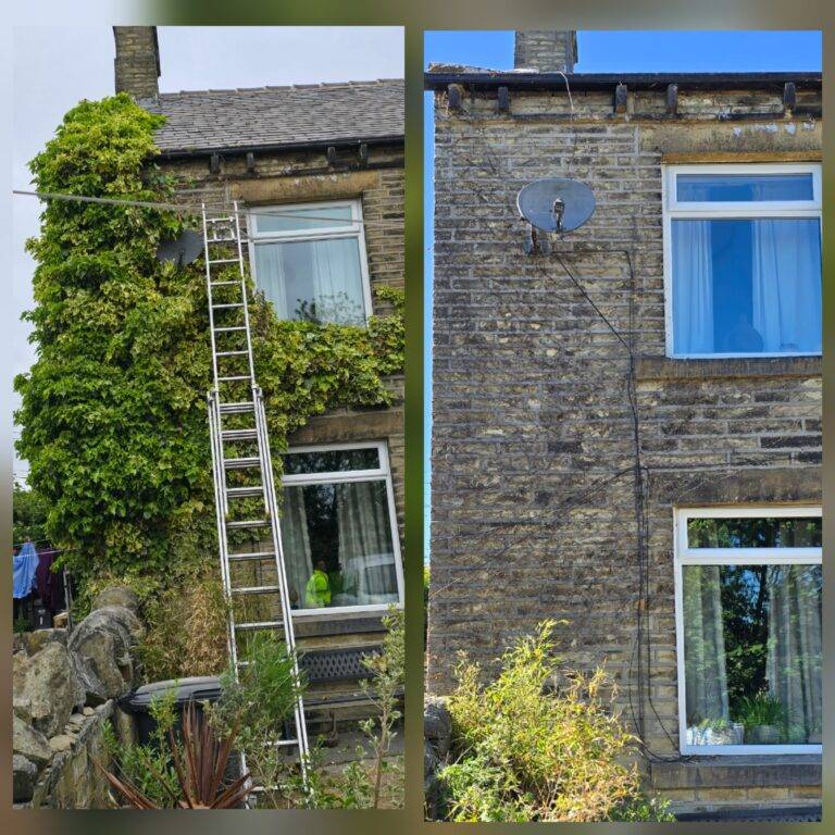 Before and after images showing ivy removal from a Manchester terraced house, including safe ladder work and full wall clearance.