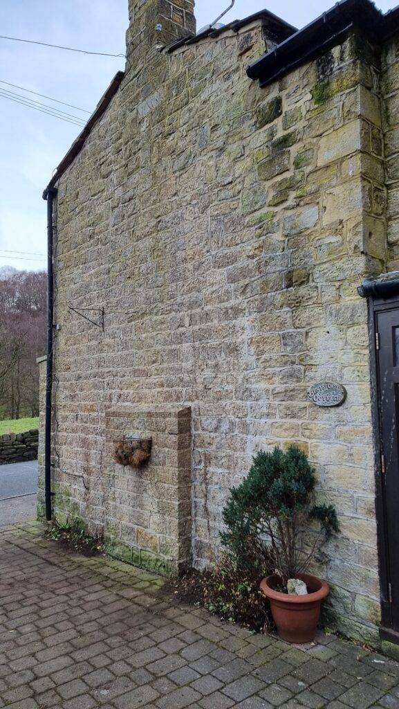 stone wall after ivy has been removed showing marks and natural residue from tendrils