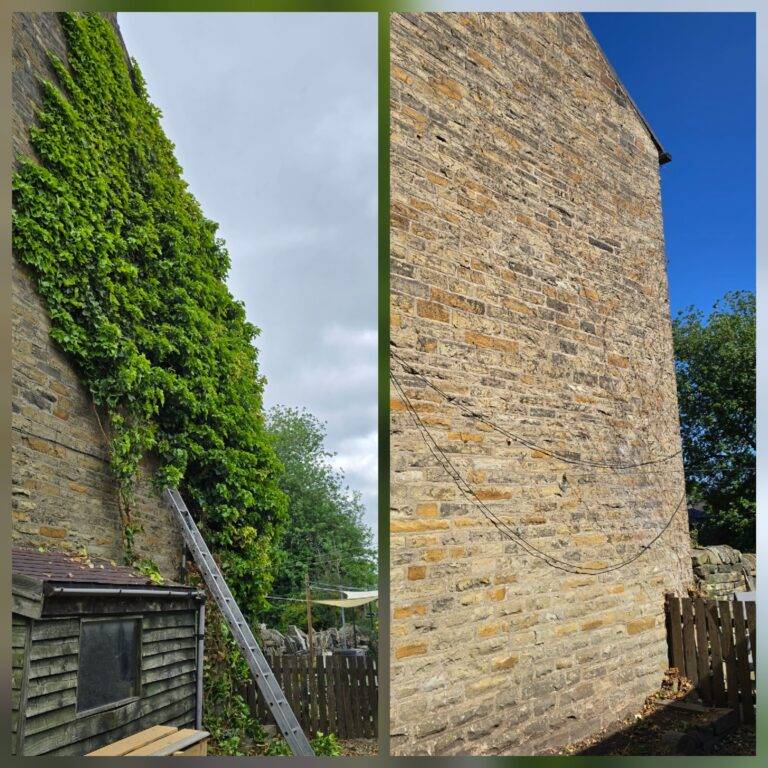 Before and after ivy removal in Harrogate showing dense ivy cleared from a tall gable wall and exposing clean stonework.