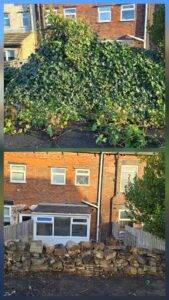 Before and after neighbour’s ivy overgrowing a boundary wall and professionally removed in Leeds.