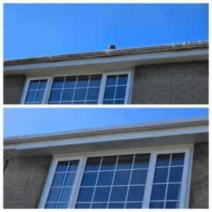 Before and after fascia, soffit and gutter cleaning showing cleaned roofline and guttering in Pudsey