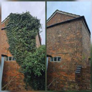 Before-and-after photo of house ivy removal on a brick end wall, showing heavy ivy growth removed to reveal the brickwork and guttering.
