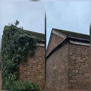 Side-by-side before and after photos showing ivy covering a brick gable wall and roof edge, then removed to reveal the brickwork and guttering.