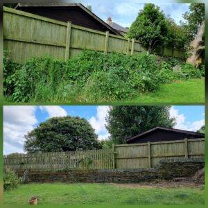 Before and after ivy and overgrowth clearance along a garden boundary in York