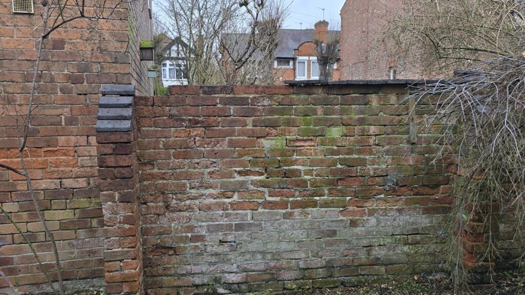 Garden brick boundary wall after ivy removal with brickwork exposed