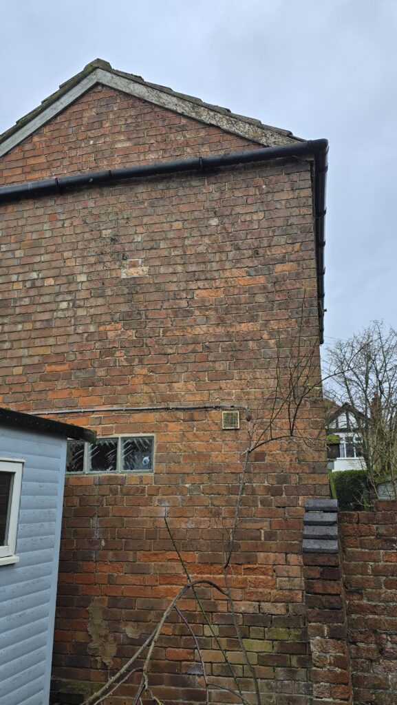 Two-storey brick gable wall after ivy removal with rose stems left in place