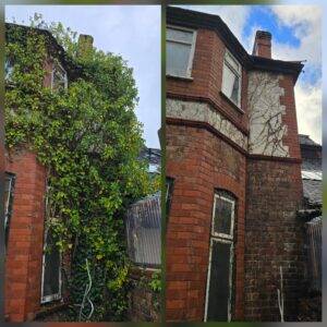 Before and after ivy removal in Didsbury, Manchester, showing ivy cleared from a house wall and upper exterior