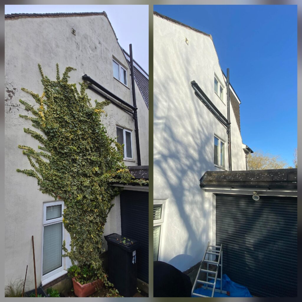 Before and after photo of side wall ivy removal and exterior painting on a house in Sheffield