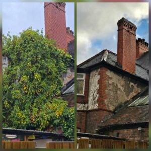 Before and after large ivy clearance from a property in Didsbury, Manchester