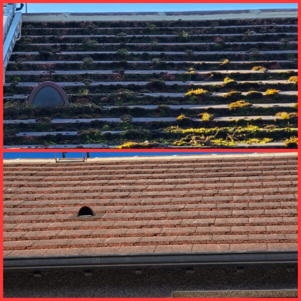 Before and after roof cleaning in Leeds showing moss-covered roof tiles before cleaning and cleaner roof tiles after manual moss removal