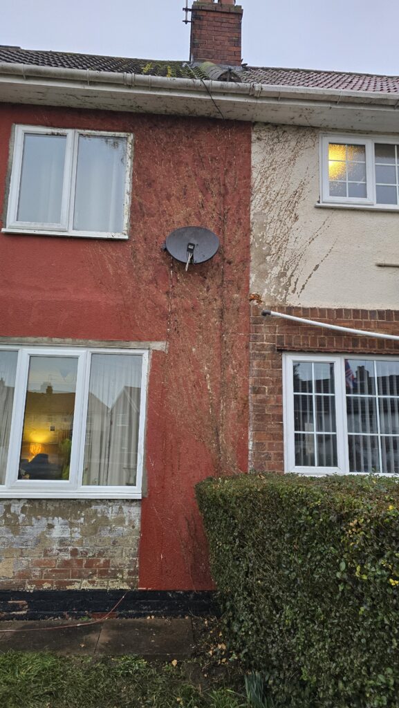 House wall in Worksop after dead ivy removal, showing heavy attachment marks left behind on the surface