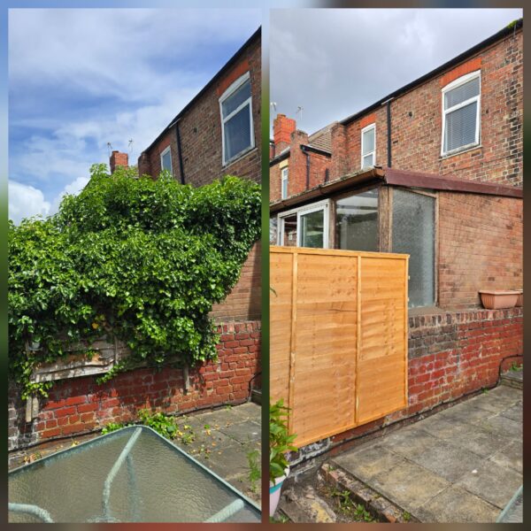 Before and after ivy removal from a rear brick wall and garden area in Crosby, Liverpool, showing the property cleared of overgrown ivy.
