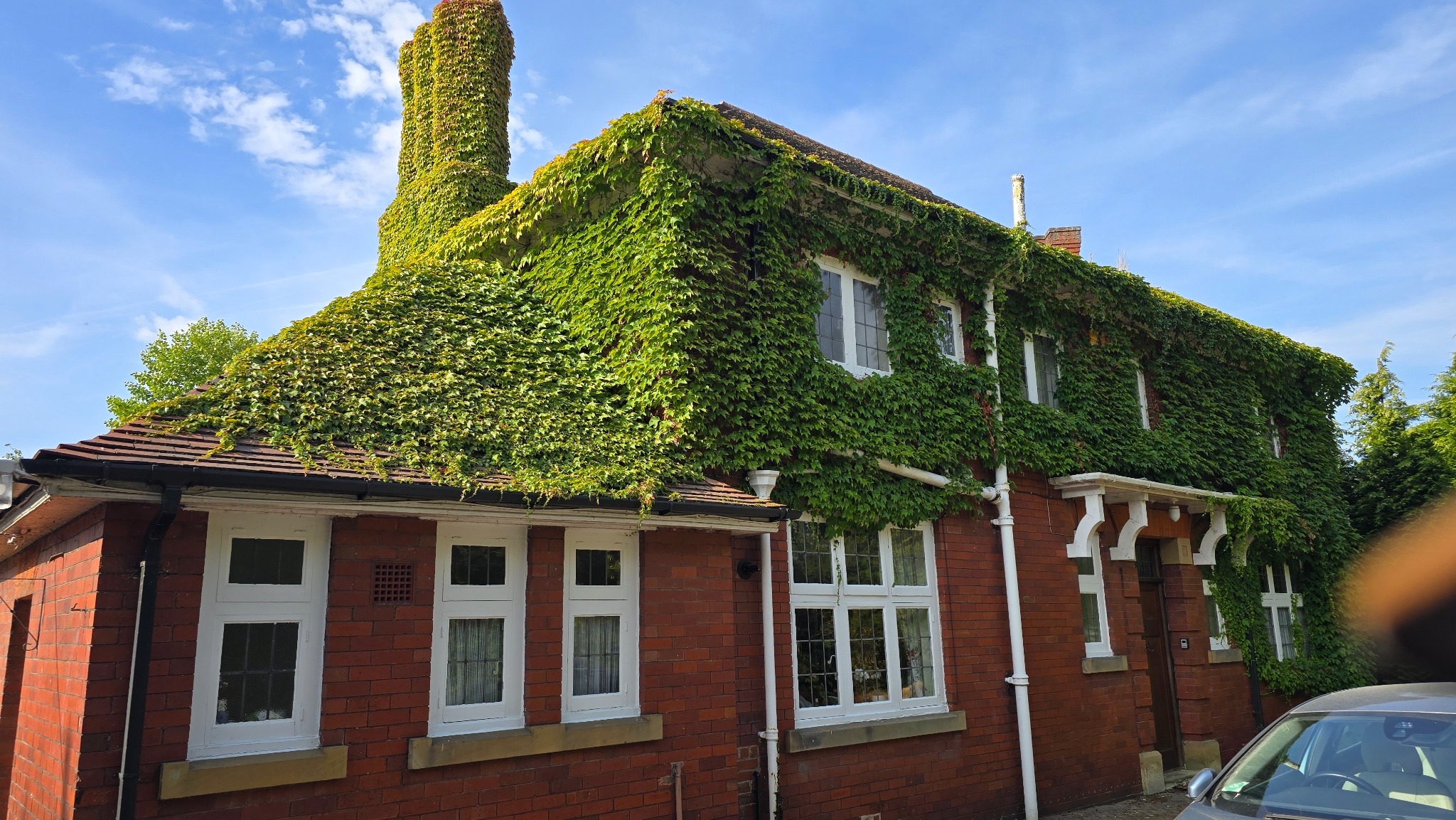 Large property in Ackworth West Yorkshire heavily covered in ivy before removal