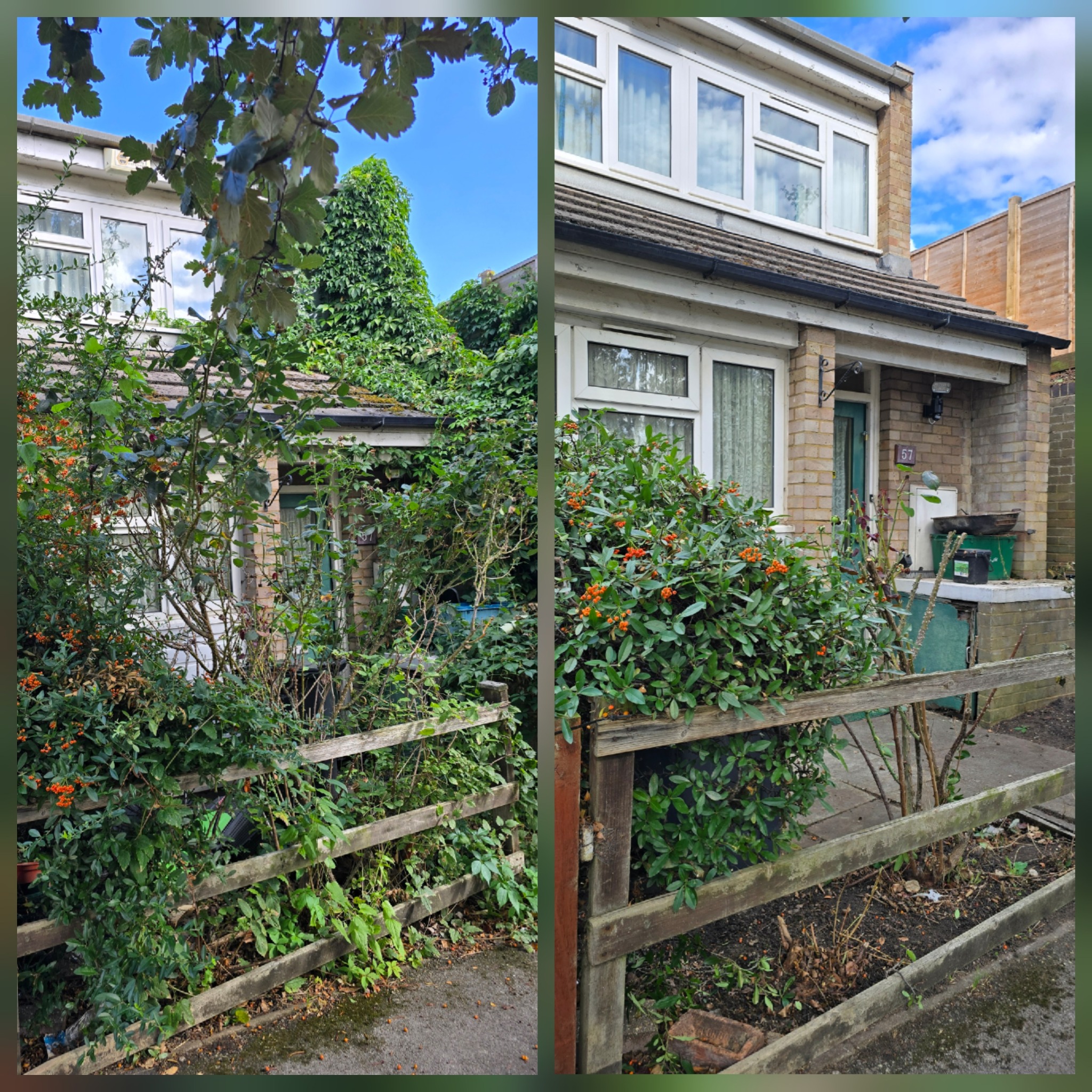 Before and after view of front garden and property following ivy and vegetation clearance in Croydon
