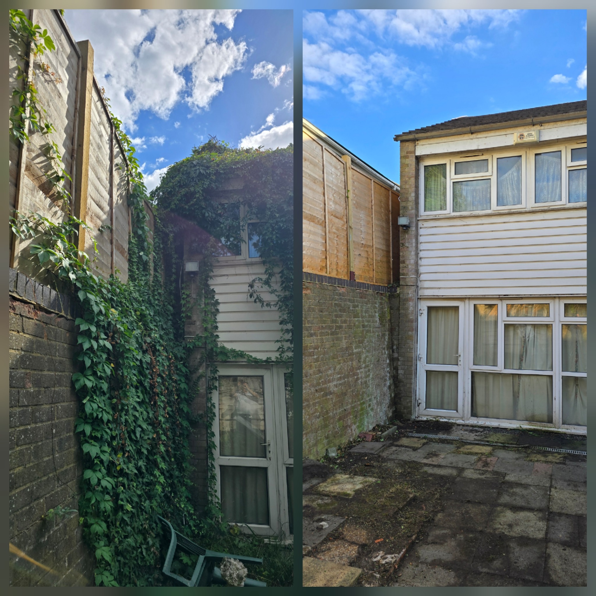 Before and after ivy removal from the rear elevation of a house in Croydon