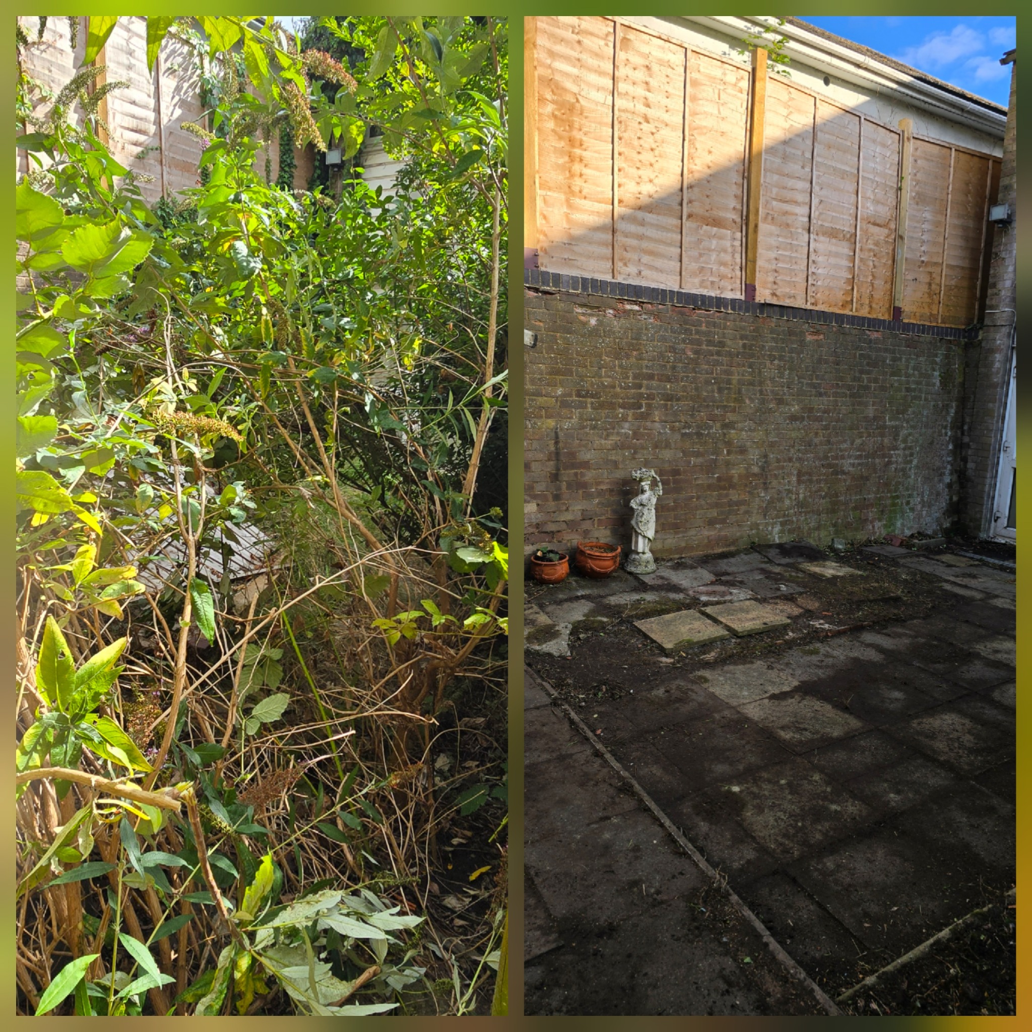 Before and after clearance of an overgrown garden during an ivy removal project in Croydon
