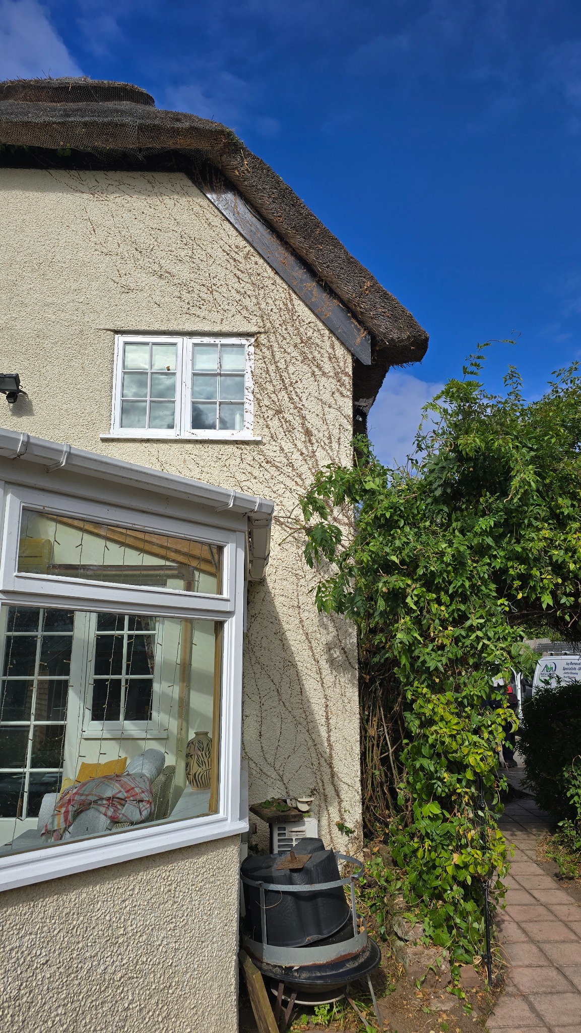 Conservatory wall and roofline after the ivy was carefully removed