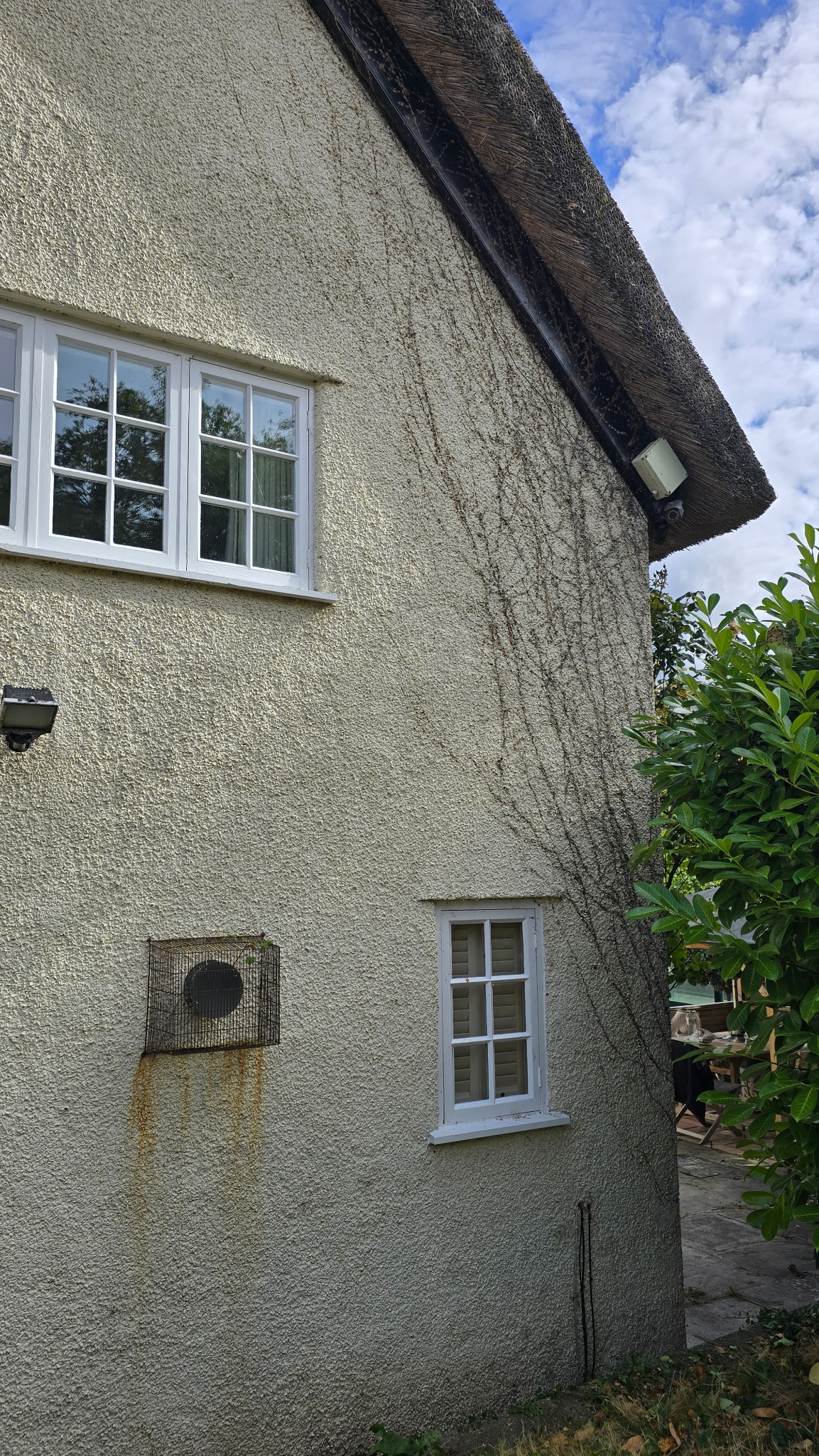 Thatched gable in CH64 cleared following professional ivy removal