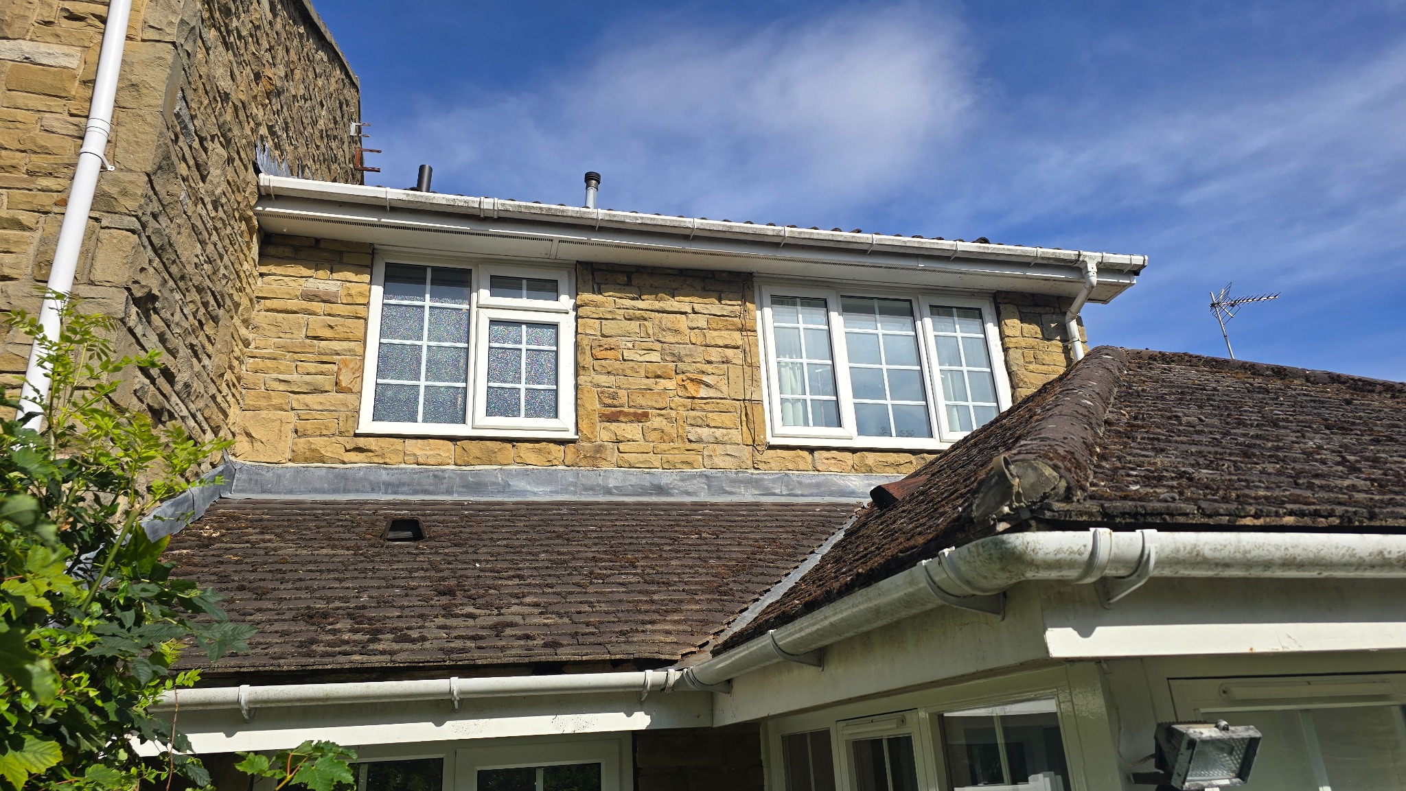 Rear wall of a Leeds property after professional ivy removal