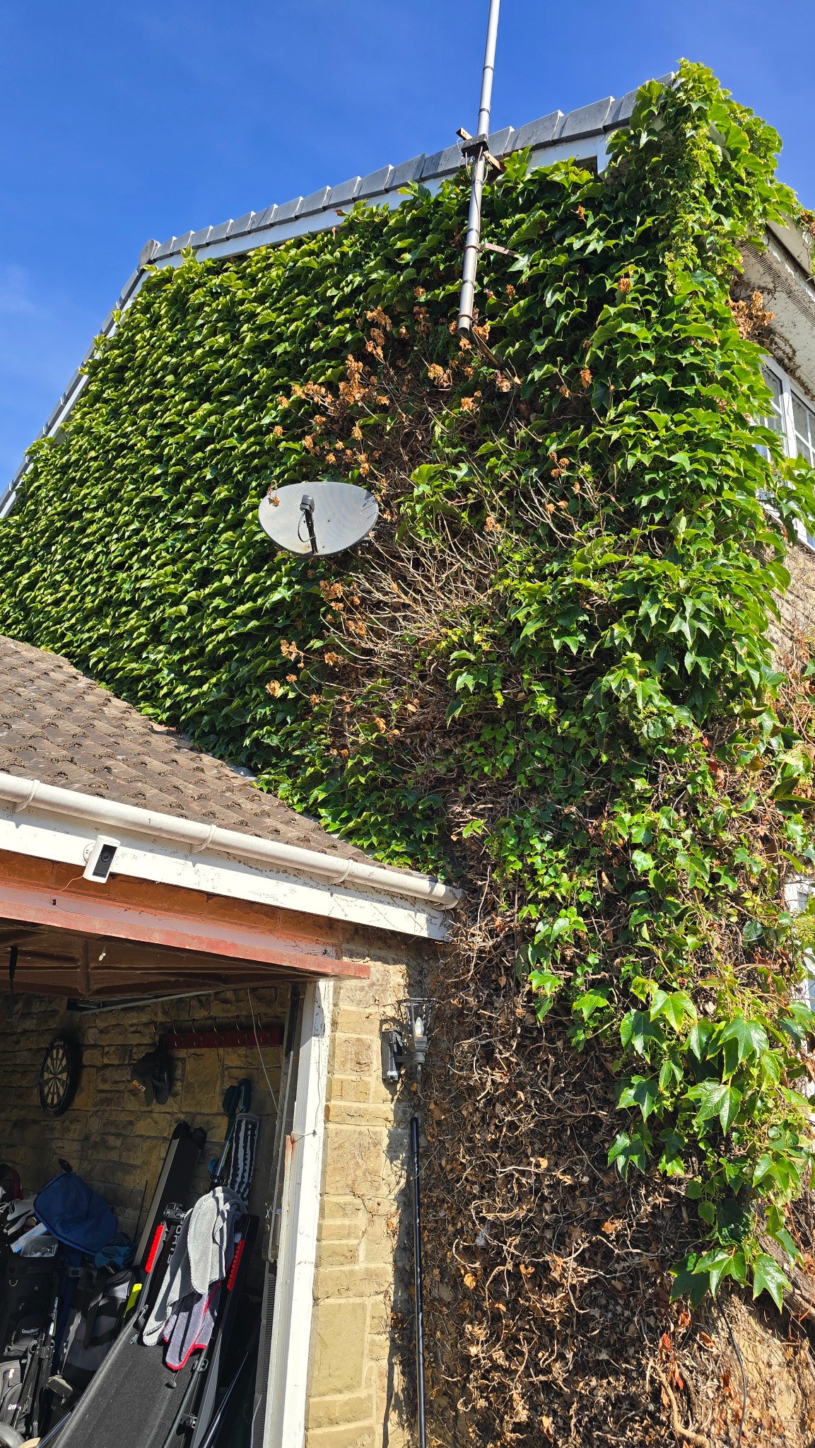 Stone house in Leeds covered in ivy before professional removal