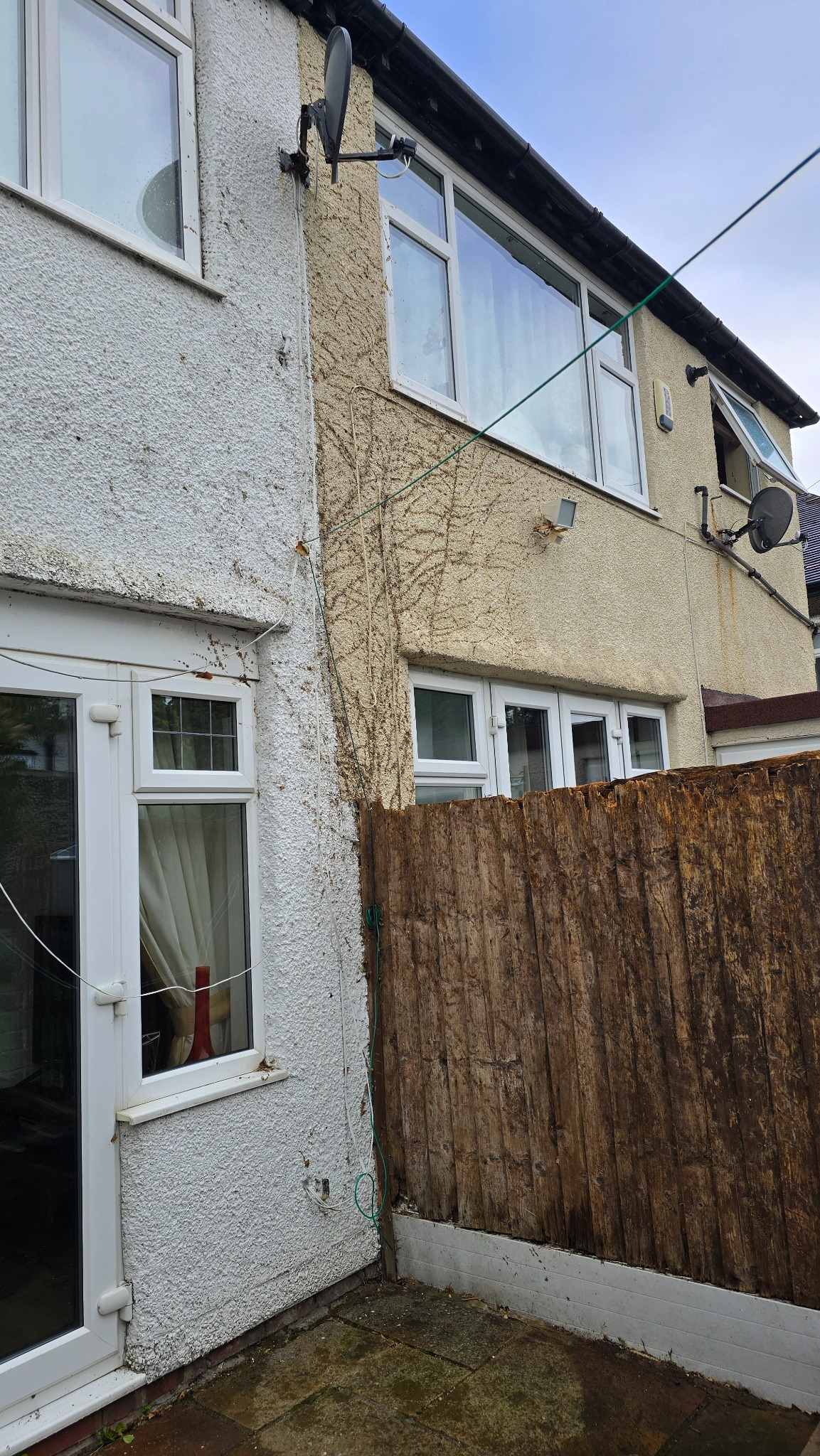 Boundary fence and house wall after careful ivy removal in Wallasey, Wirral