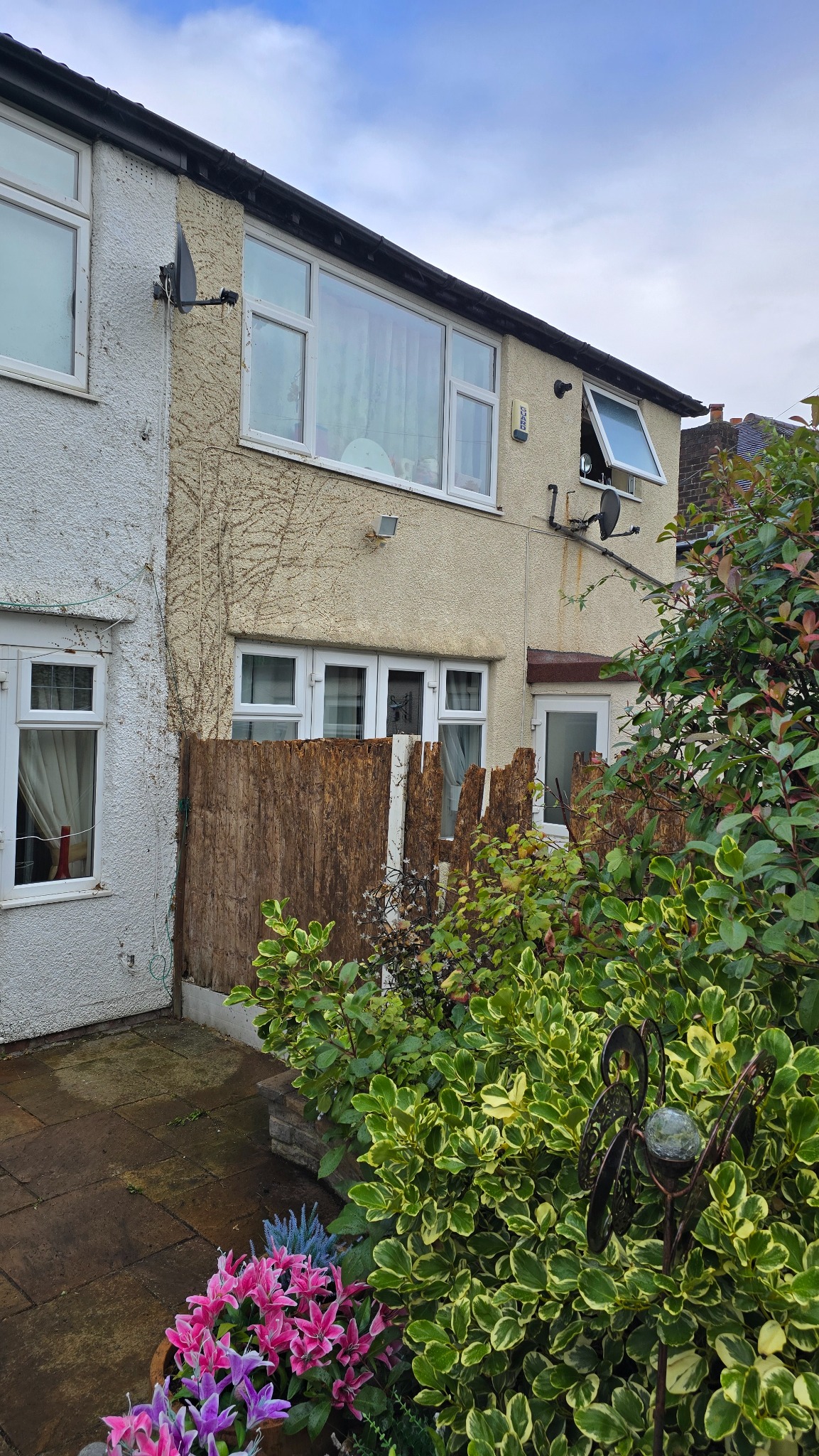 House wall and garden boundary after ivy removal in Wallasey, Wirral