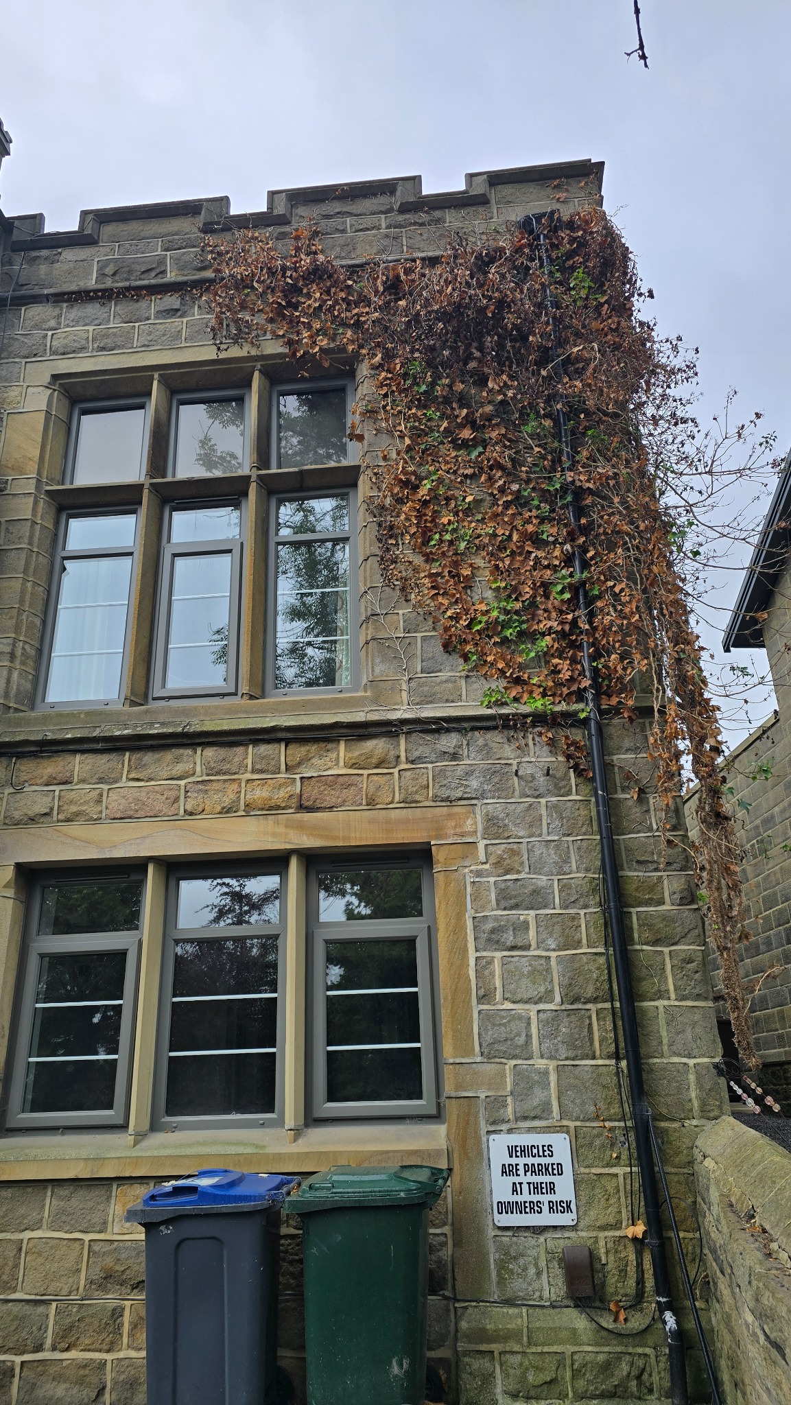 Established dead ivy around the upper windows and roofline of a stone property in Ilkley