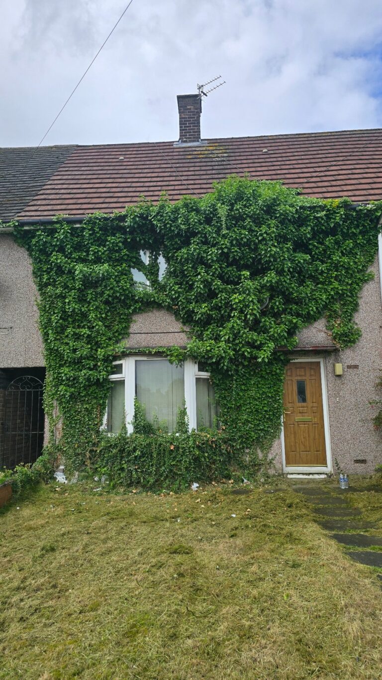 Ivy climbing across a residential house wall around upper windows and towards the roofline