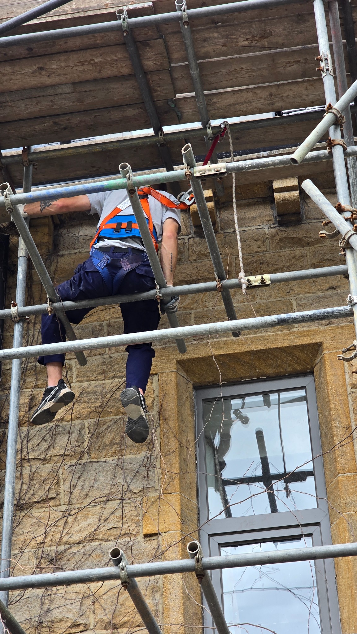 Ivy removal from scaffolding on the rear stone elevation of a property in Ilkley LS29