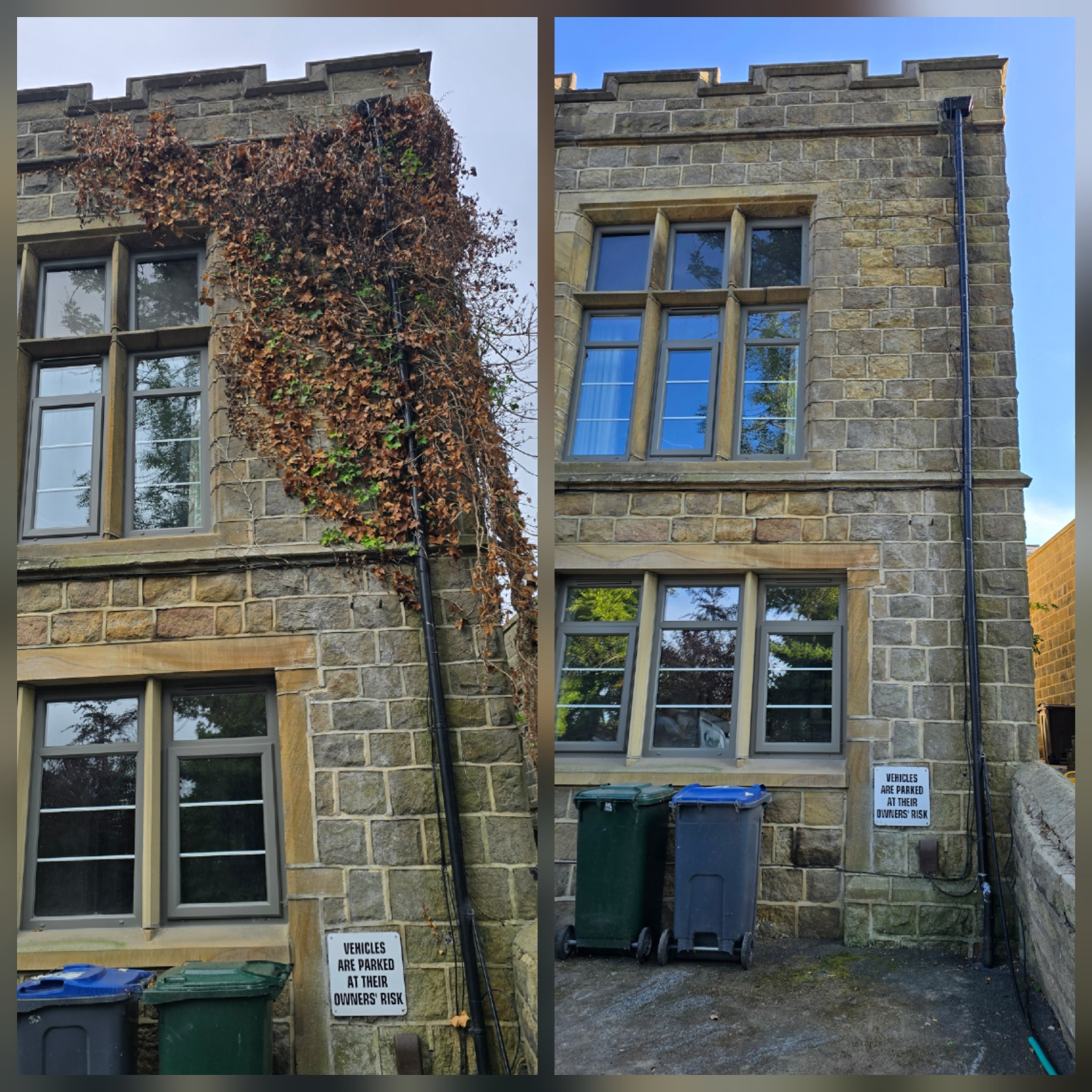 Before and after ivy removal from the front elevation of a stone property in Ilkley LS29