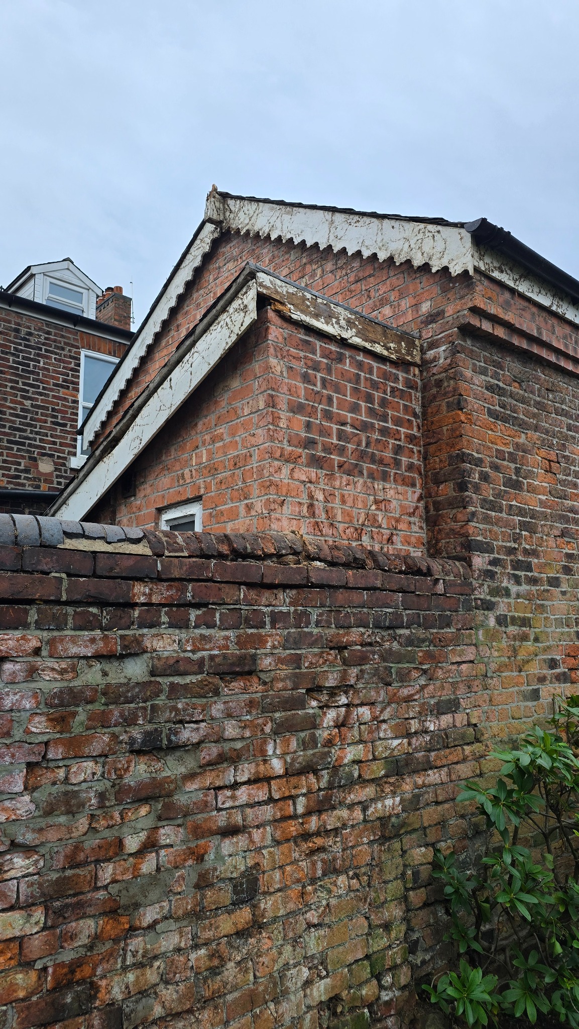 Marple adjoining roofline after extensive ivy removal
